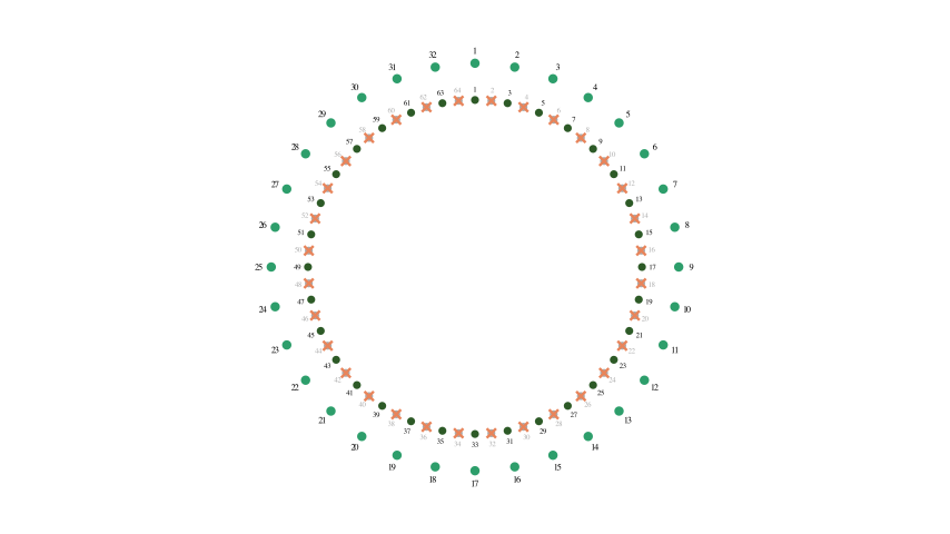 64 people: survivors renumbered 1–32